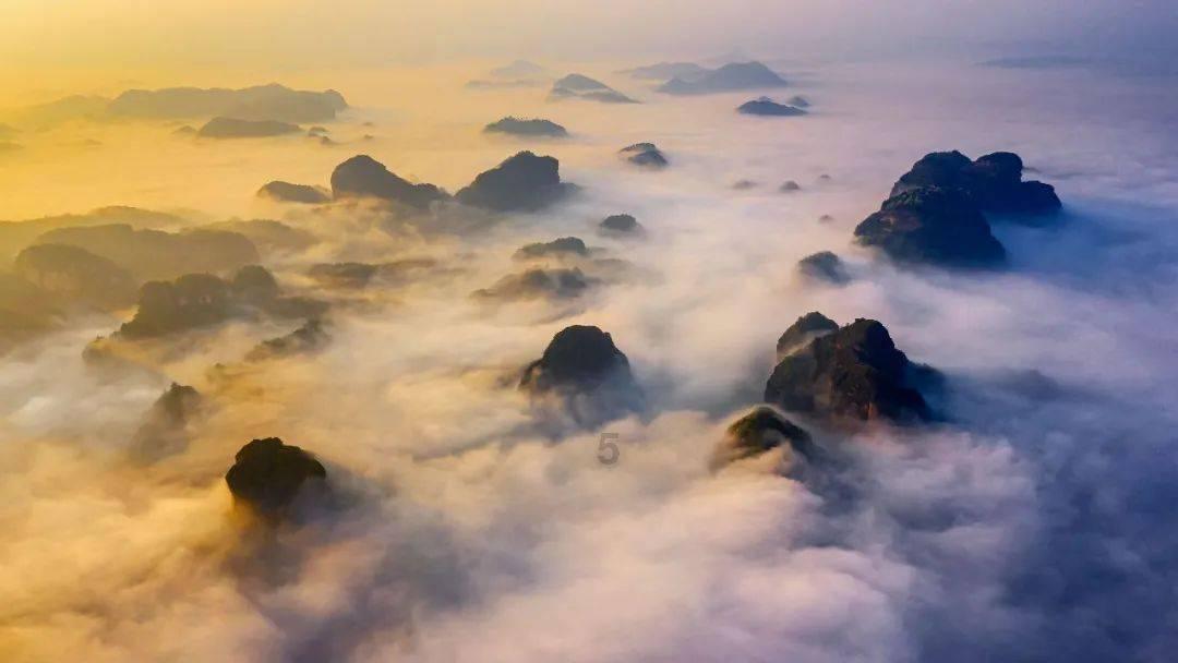 权力与纷争